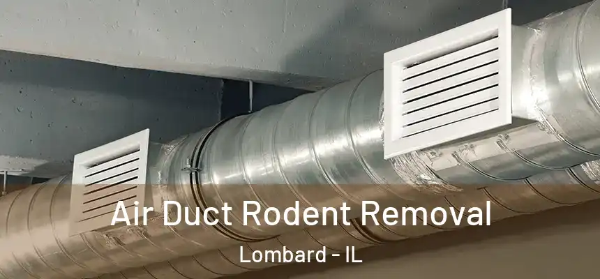  Air Duct Rodent Removal Lombard - IL