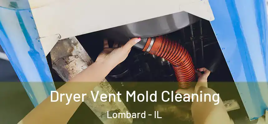  Dryer Vent Mold Cleaning Lombard - IL