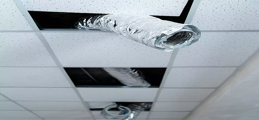 Our Air Duct Pet Hair Removal Services in Lombard, IL