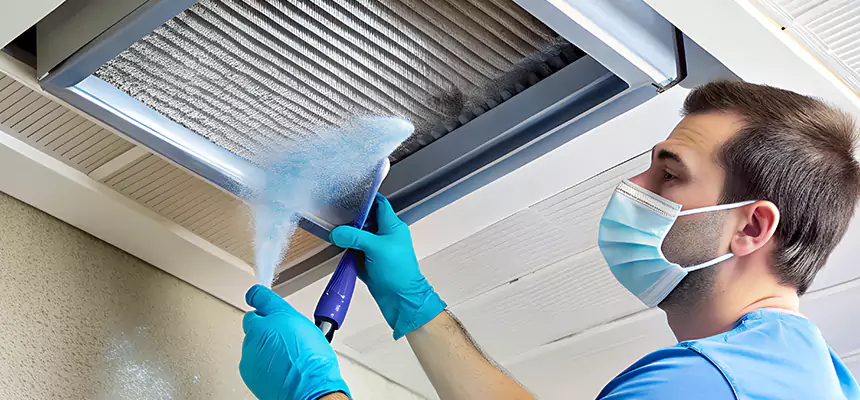 Proactive Dryer Vent & Auxiliary Duct Pollen Cleanup in Lombard, IL