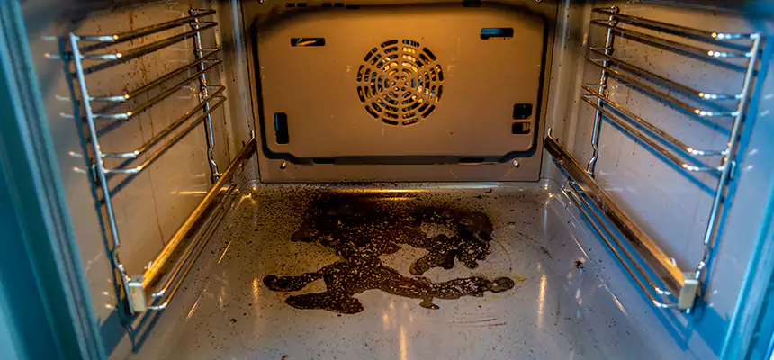 Our Dryer Vent Mold Cleaning Services in Lombard, IL