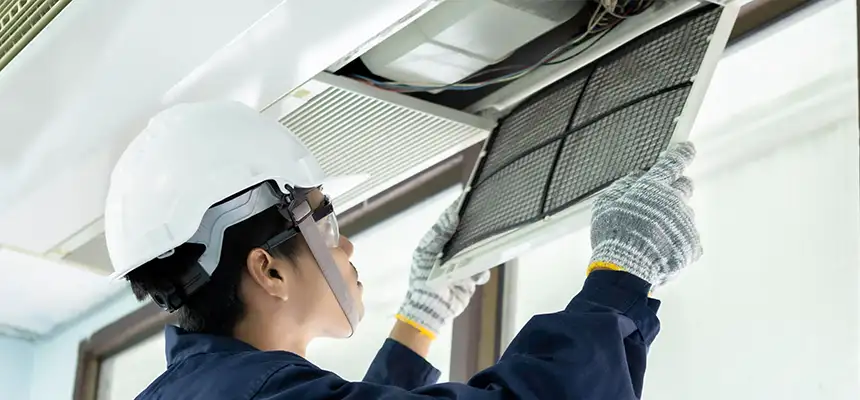 Our Lint Trap Cleaning Service Services in Lombard, IL