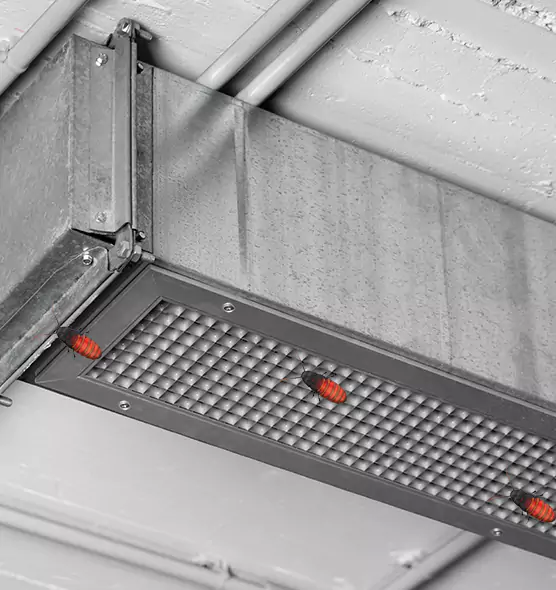 Affordable Insect Removal from Air Ducts in Lombard, IL