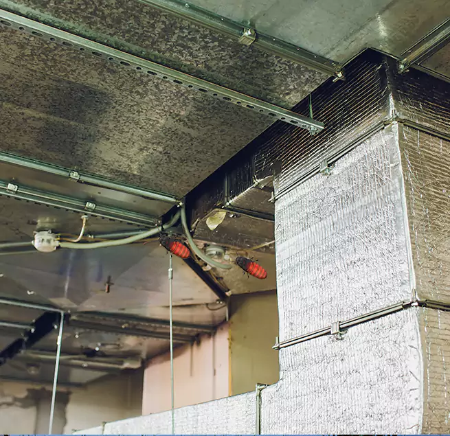 Why Homeowners & Businesses Trust Us in Lombard, IL?